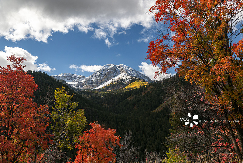 秋色中的蒂姆帕诺戈斯山图片素材