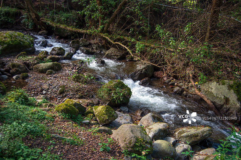 墨西哥城马格达莱纳Contreras区的马格达莱纳河自然公园图片素材