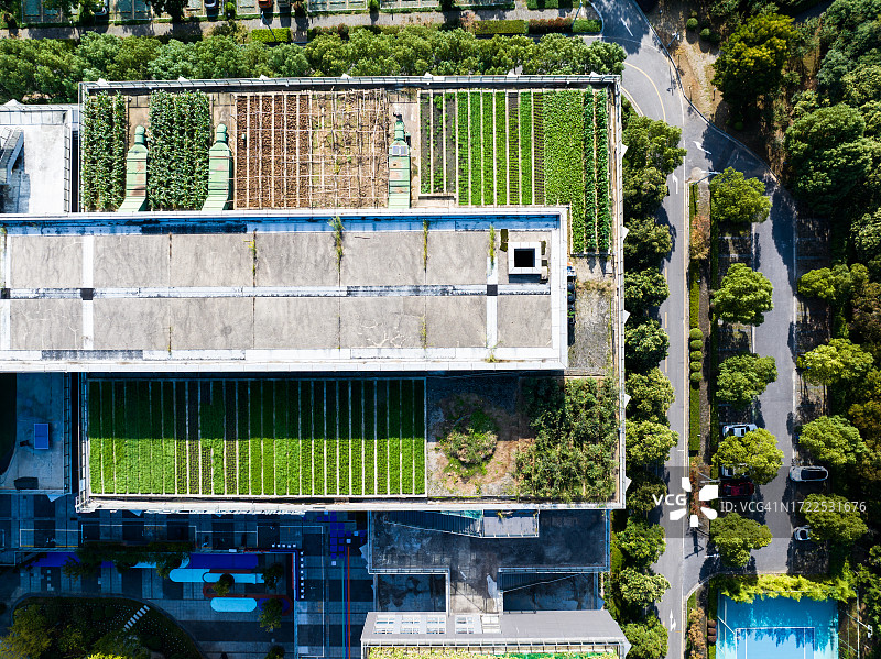 现代可持续城市：屋顶农业图片素材