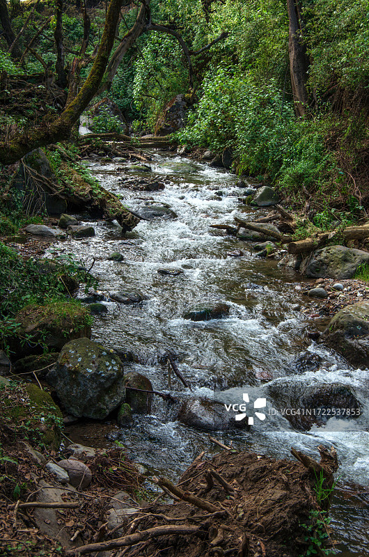 墨西哥城马格达莱纳Contreras区的马格达莱纳河自然公园图片素材