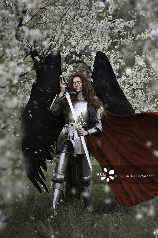 身穿板甲，长着黑色翅膀，手持剑的女孩图片素材
