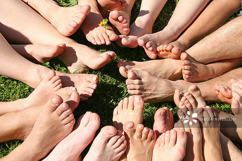 巴福斯图片素材