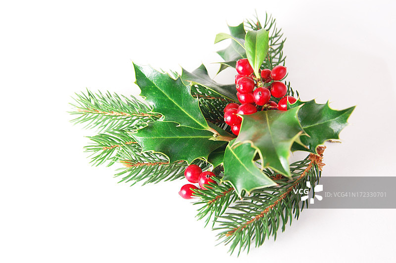 圣诞花环图片素材