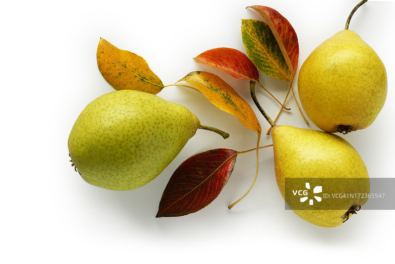 秋季主题图片素材