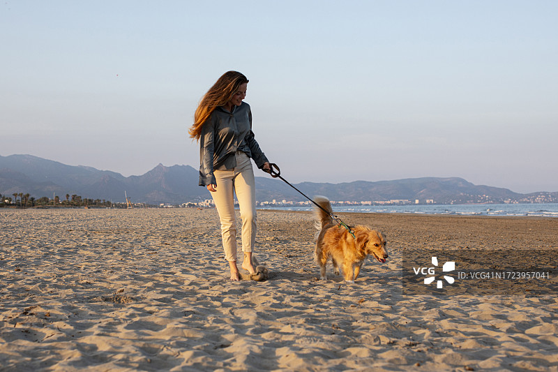 女人在海滩上遛狗图片素材