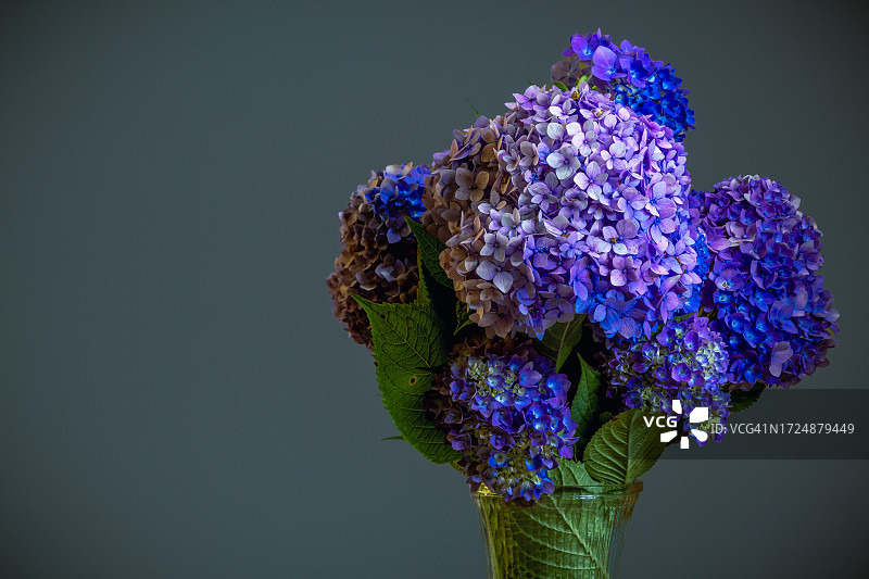 绣球花束图片素材