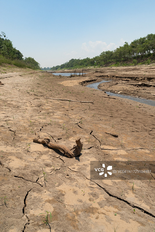 亚马逊河支流的干涸河床（二）图片素材