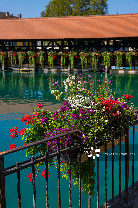 瑞士伯尔尼高地图恩市阿勒河及Untere Schleuse桥鲜花夏日风光图片素材