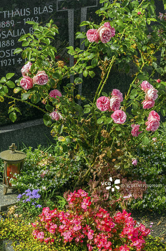 用鲜花和玫瑰装饰的墓碑，位于德国巴伐利亚州巴德格罗嫩巴赫图片素材