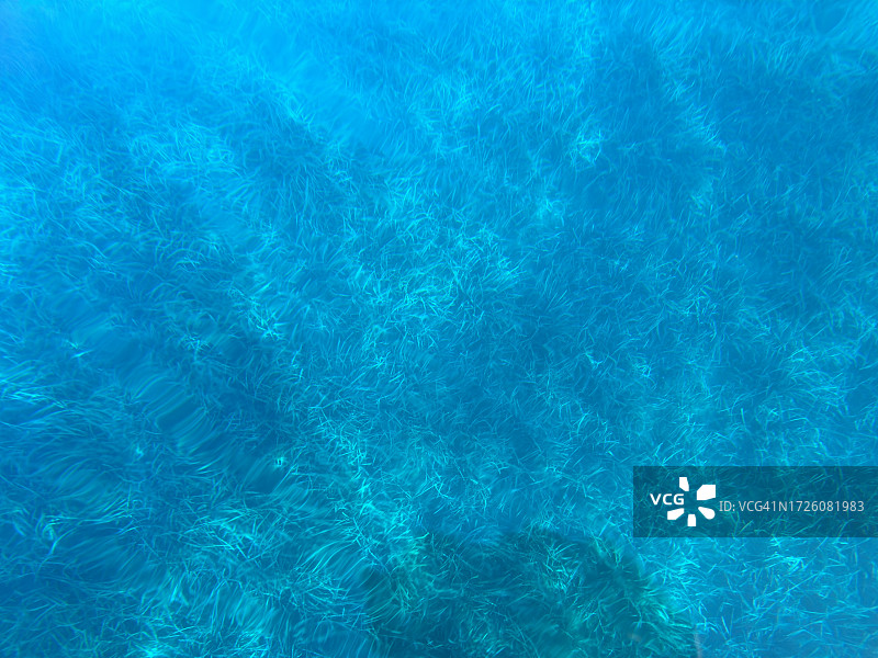 水下潜水员看到的有海草的海底图片素材
