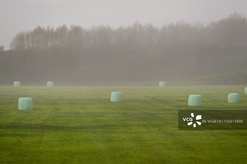 雾蒙蒙的早晨，田野里绿色塑料包裹的干草捆航拍景观图片素材