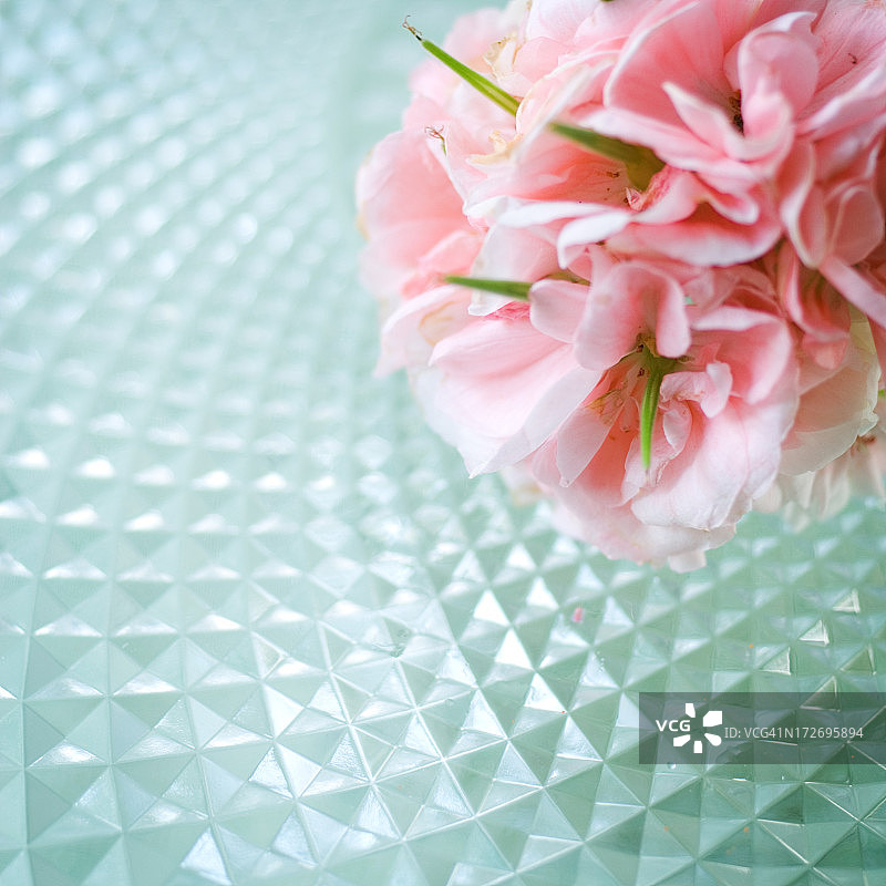 老鹳草微距摄影图片素材