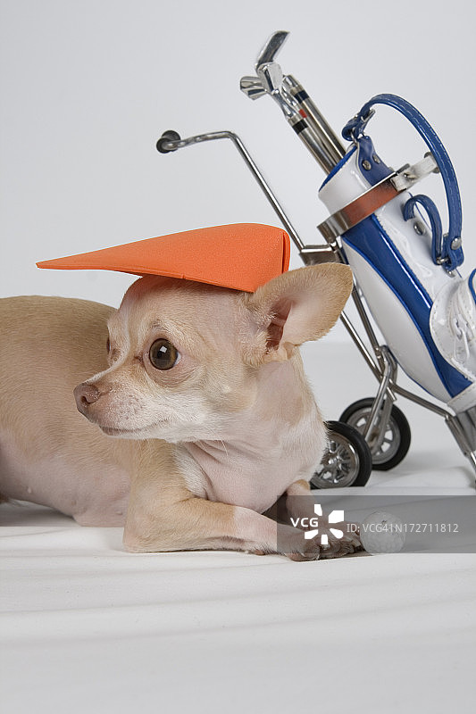 高尔夫球运动员图片素材