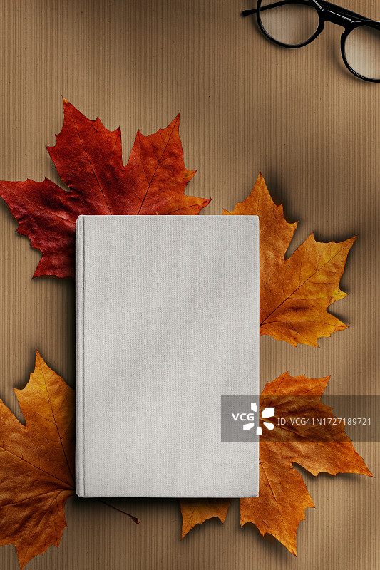 俯视角度的秋叶书本图片素材