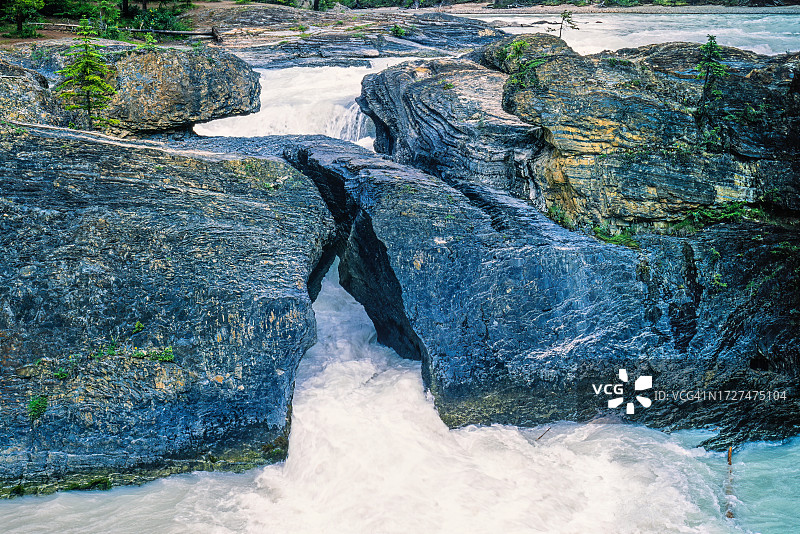 林地中湍急河流上的天然桥梁图片素材