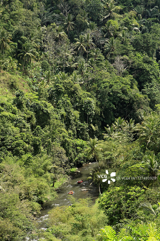 热带森林和漂流，印度尼西亚巴厘岛图片素材