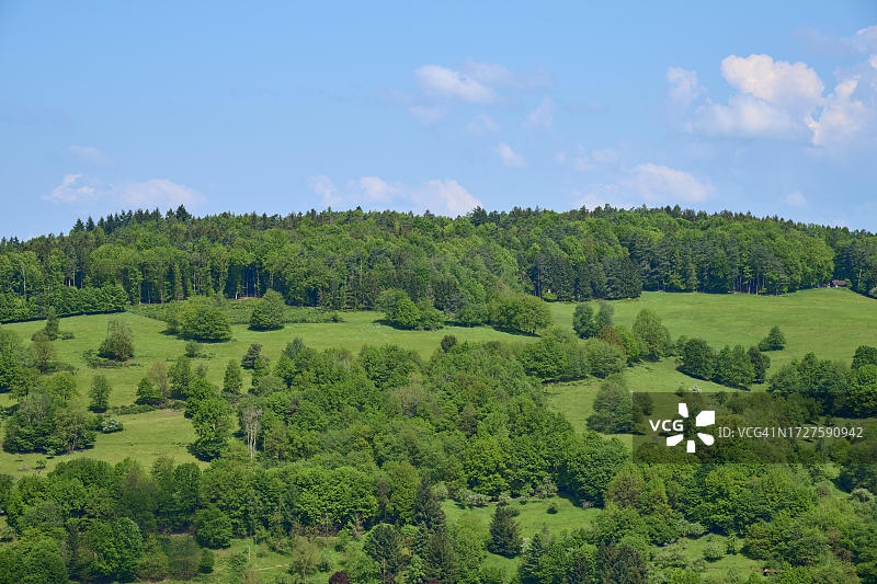 德国巴伐利亚州阿沙芬堡区达姆巴赫森林草地春季景观图片素材