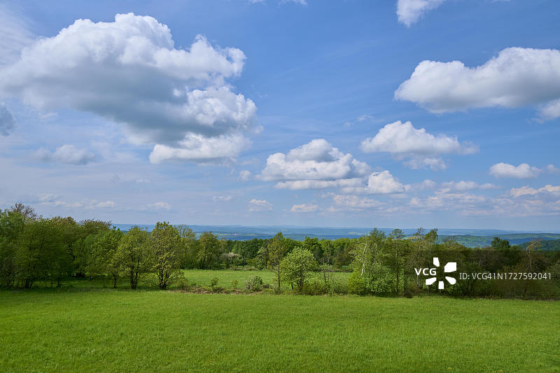 德国巴伐利亚：森林、草地和云图片素材