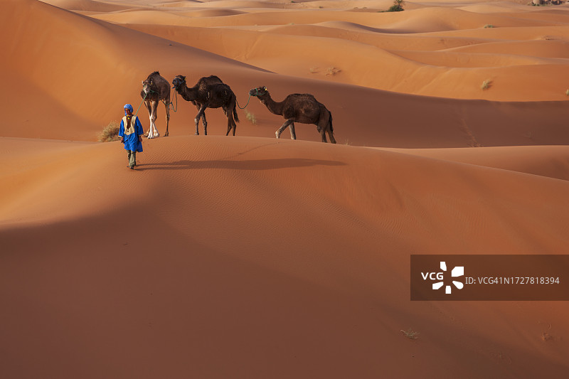 在非洲西撒哈拉沙漠上与骆驼同行的年轻图阿雷格人图片素材