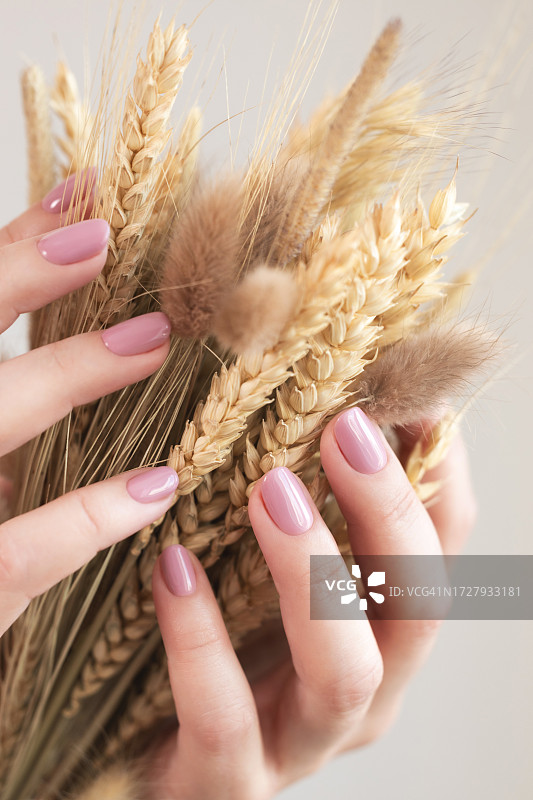 手拿干花，精美粉色美甲图片素材