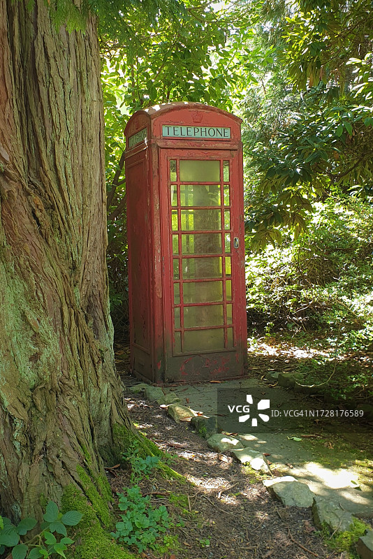 树林中的英式红色电话亭图片素材