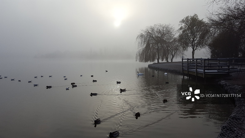 雾天的弗兹顿湖图片素材