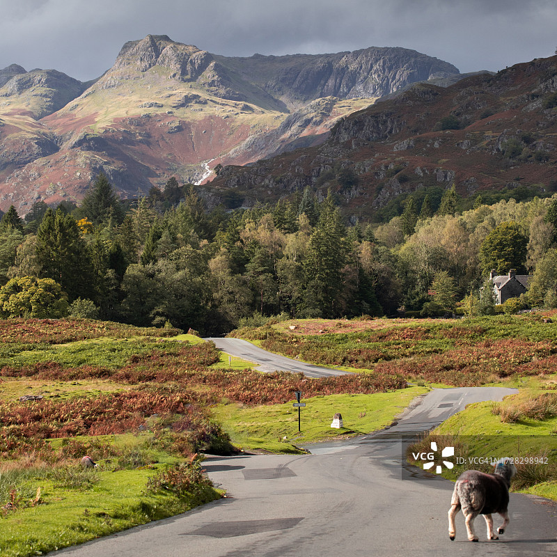 通往兰谷派克的道路图片素材