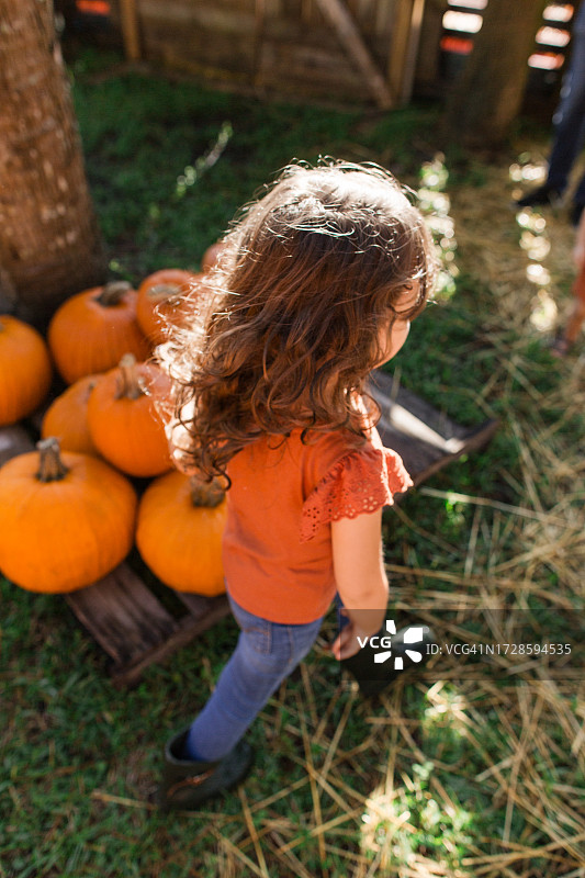 可爱的古巴裔美国女孩身着秋季服装，在南佛罗里达州的南瓜地里，被橙色南瓜包围图片素材