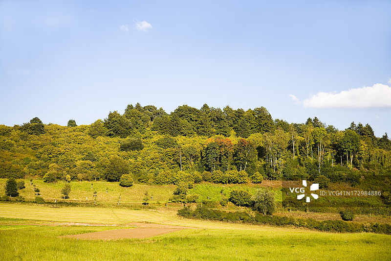 有草地的风景图片素材