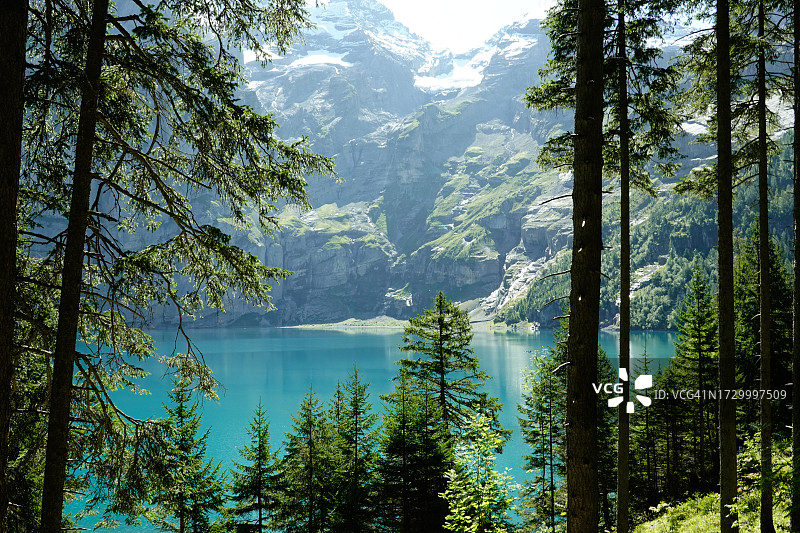 森林中的湖景图片素材