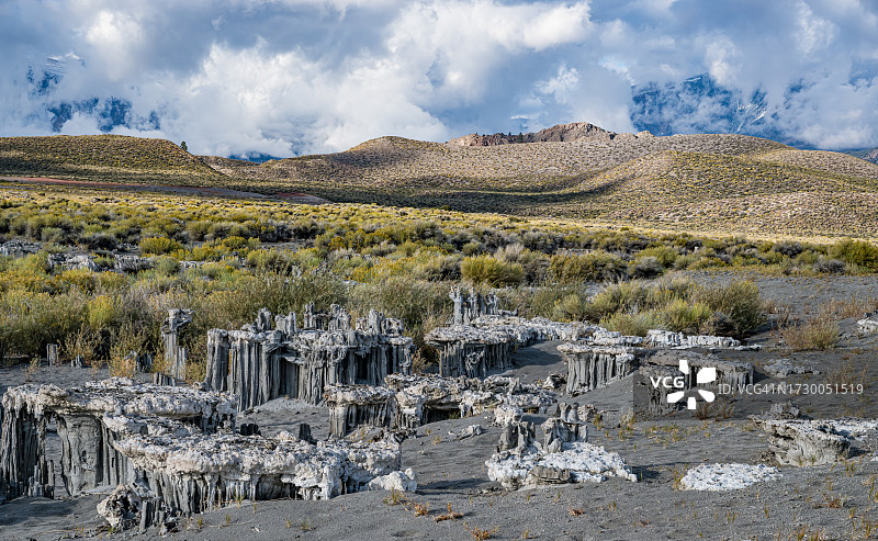 莫诺湖海军海滩的沙灰华，莫诺湖图法州立保护区图片素材