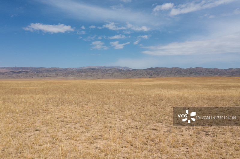 秋季金色草原鸟瞰图图片素材