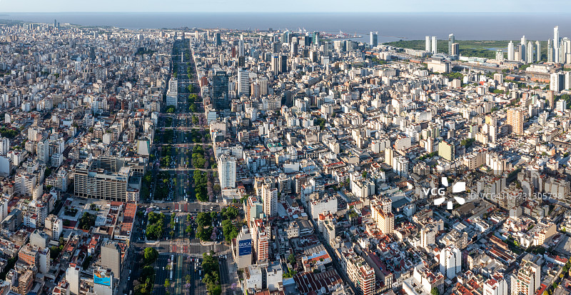 布宜诺斯艾利斯七月九日大道上的盛开春天景色图片素材