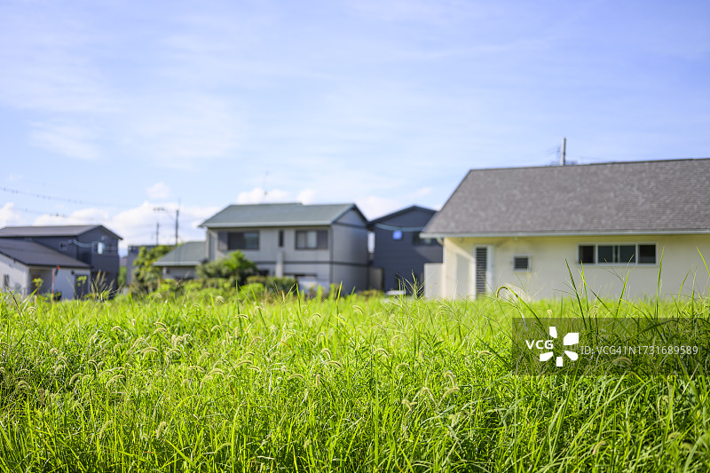 日本九州的绿色乡村风光图片素材