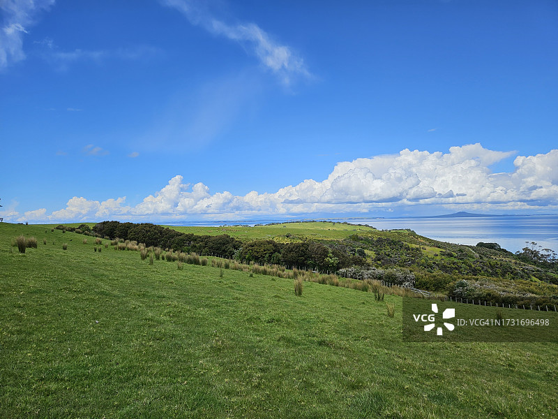 奥克兰田野风光，新西兰图片素材