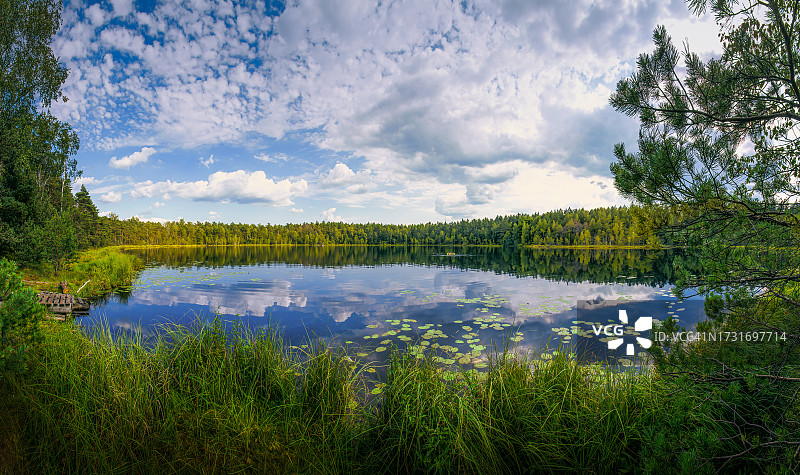 森林里的湖对着天空的风景图片素材