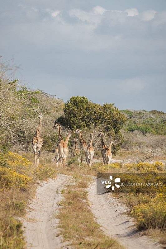 人们在天空下的土路上行走图片素材