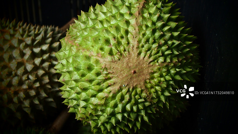 榴莲（近摄）图片素材