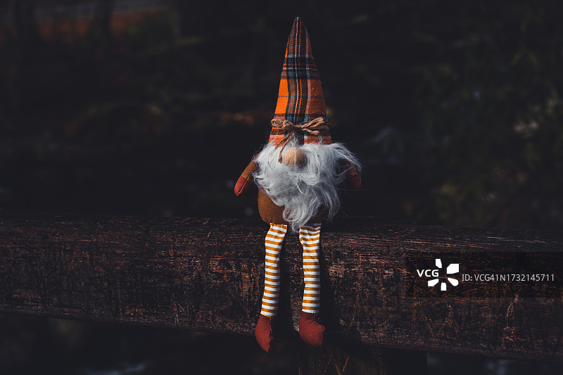 秋日森林中的巨魔图片素材