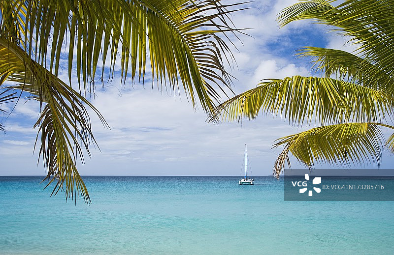 背风群岛安圭拉米德斯湾的田园海岸景色图片素材