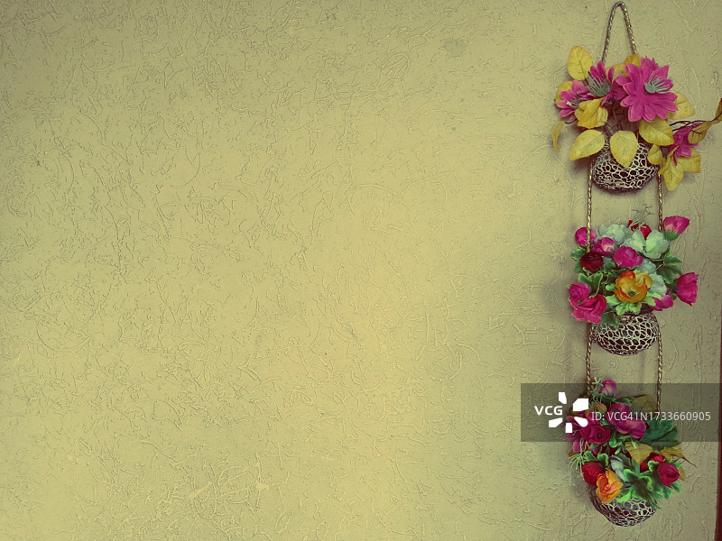 墙壁背景下的花朵特写图片素材