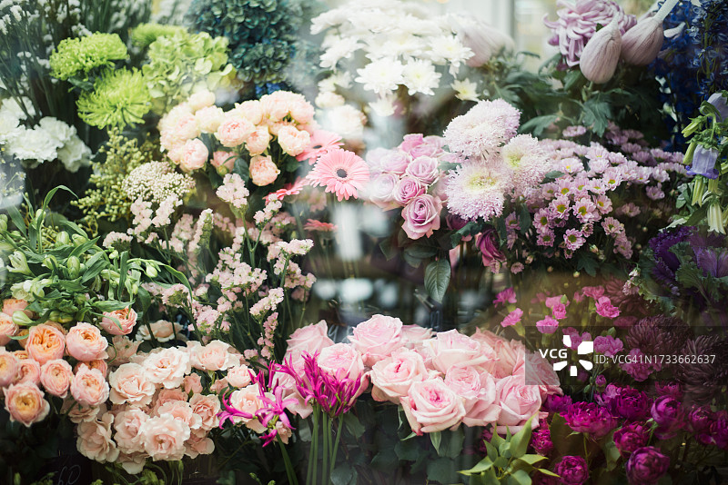 粉色开花植物的特写图片素材