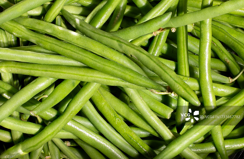 青豆全画幅照片图片素材