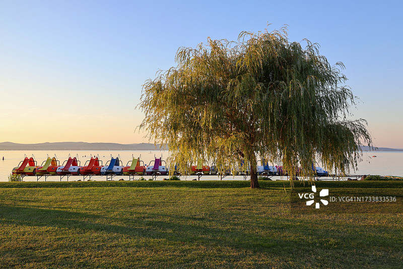 巴拉顿湖岸边柳树夕阳下的脚踏船图片素材