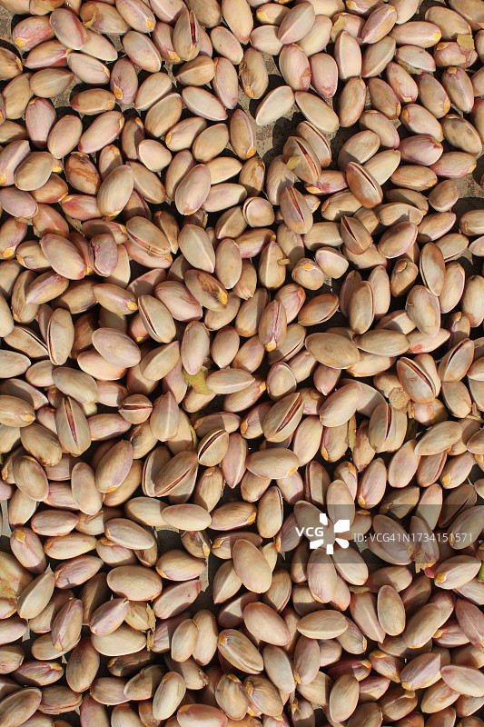 豆类的全画幅照片图片素材