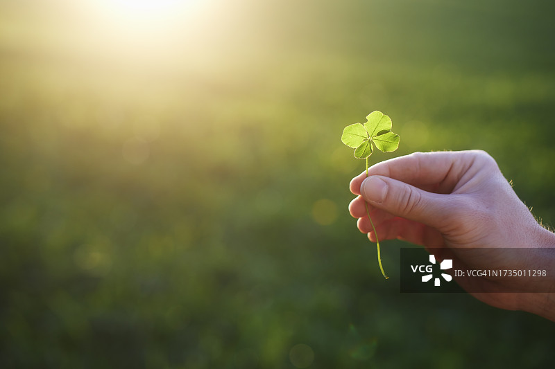 男人手持三叶草特写图片素材