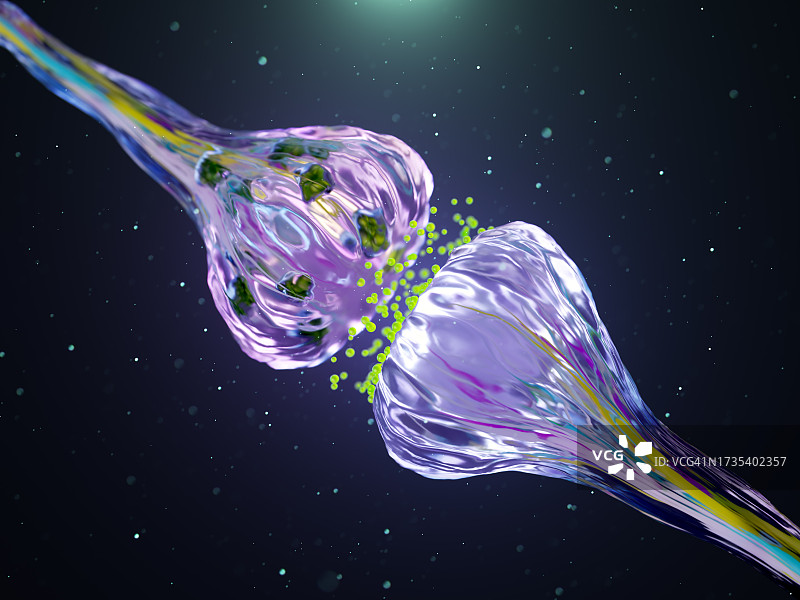 神经元在突触间隙中释放神经递质的可视化图片素材