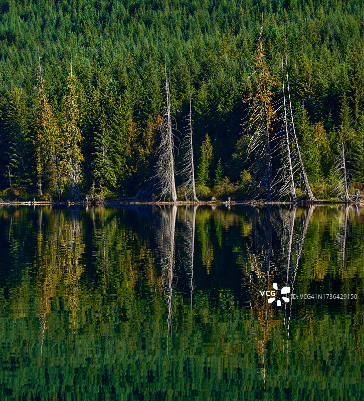 2022年10月弗农湖独木舟之旅图片素材