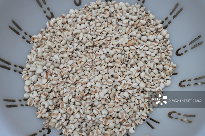 白色塑料滤锅中的小米图片素材