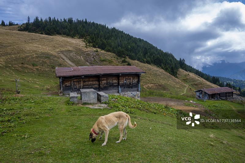 里泽省恰姆利赫姆辛的波库特高原图片素材